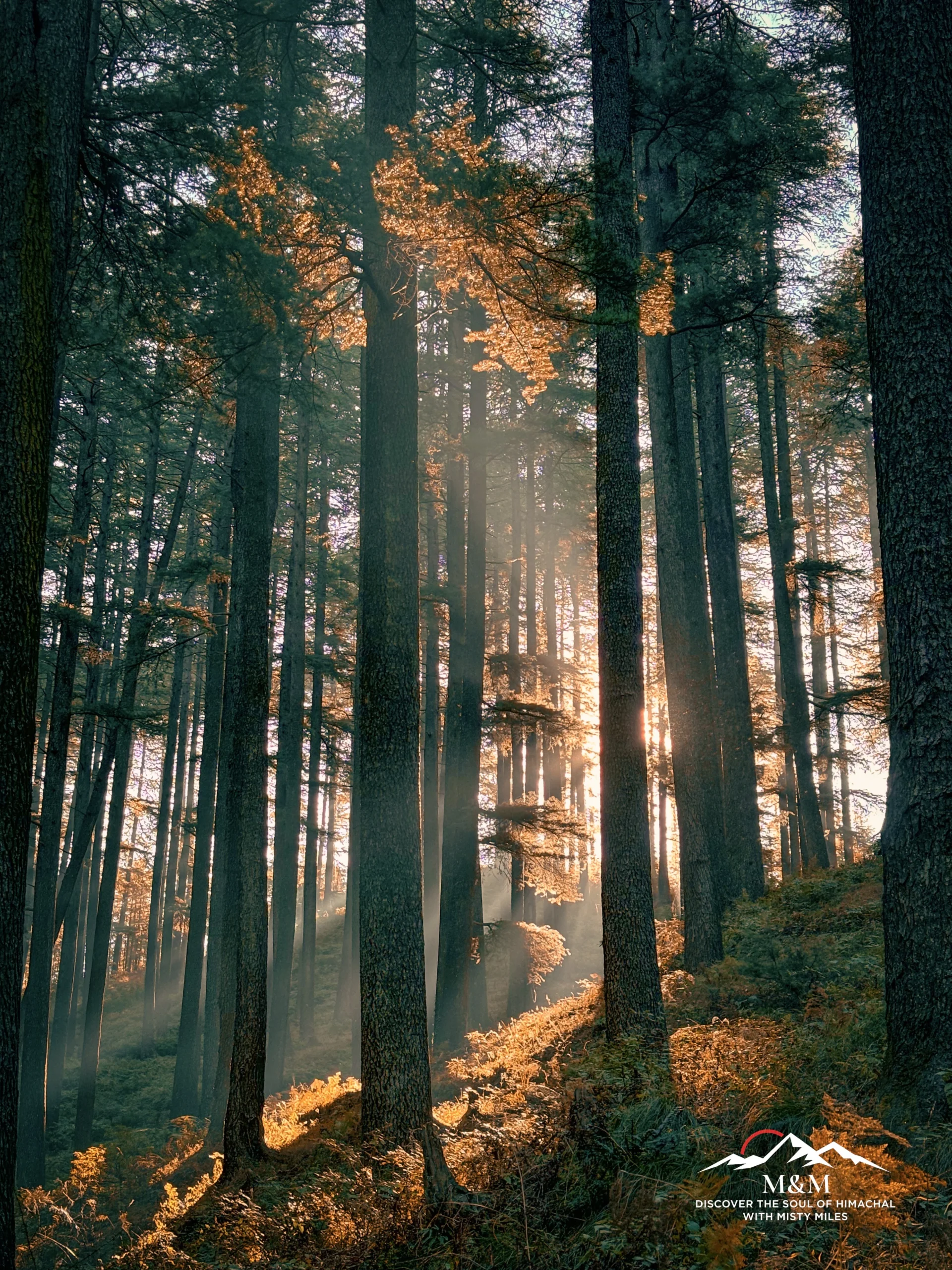 Manali to Kasol and Parvati Valley trip by Misty Miles