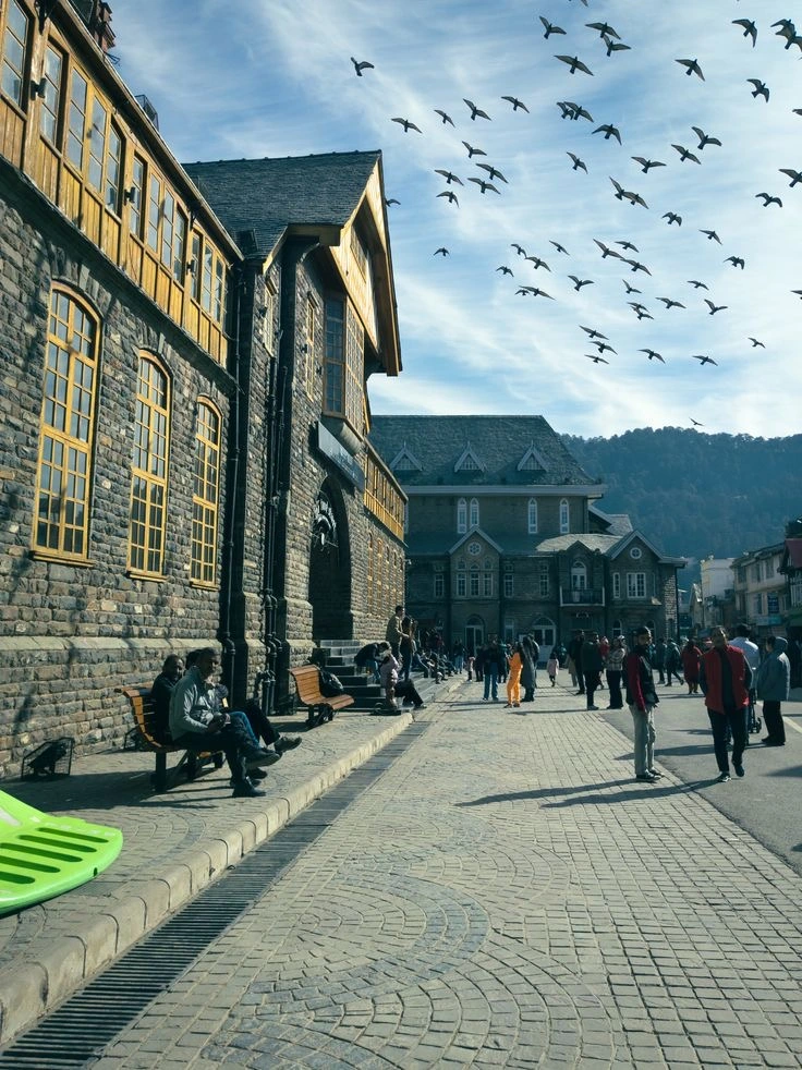 Shimla Manali tour with Misty Miles Himachal